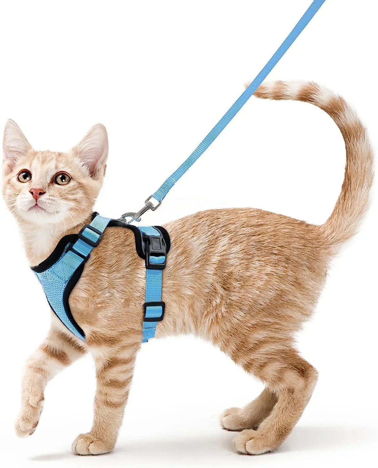 Adjustable Anti-Escape Small Cat Belt Kitten Harness Light Breathable Soft Pet Vest Wiring Harness Traction Belt Kitten Walking