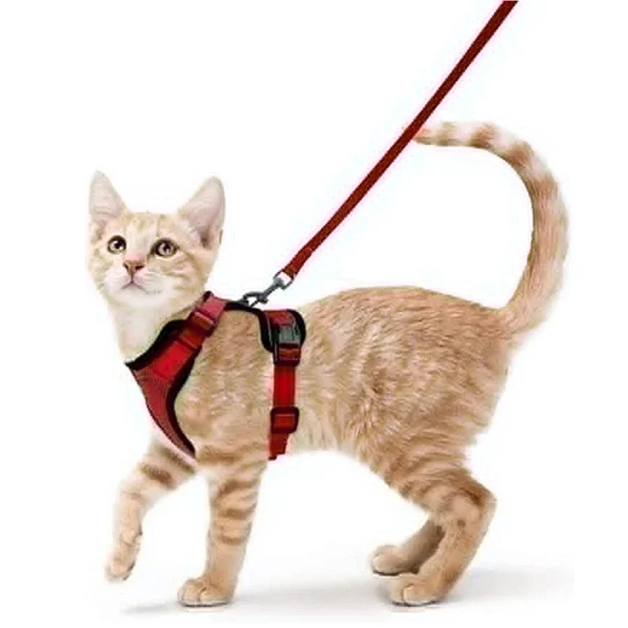 Adjustable Anti-Escape Small Cat Belt Kitten Harness Light Breathable Soft Pet Vest Wiring Harness Traction Belt Kitten Walking