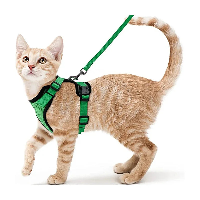 Adjustable Anti-Escape Small Cat Belt Kitten Harness Light Breathable Soft Pet Vest Wiring Harness Traction Belt Kitten Walking