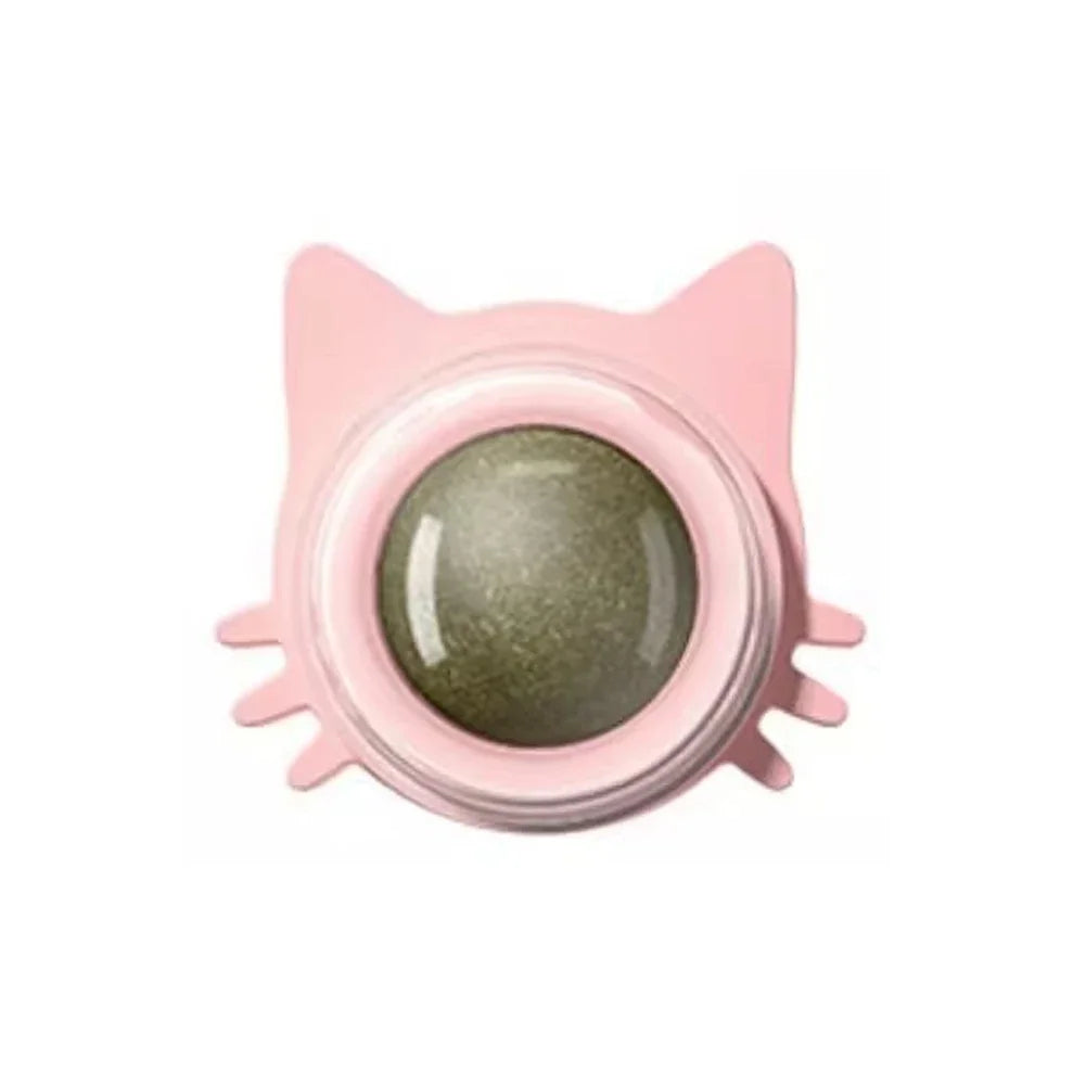 DIAMRI Catnip Lollipop Interactive Toy for Cats Dental Care Treat