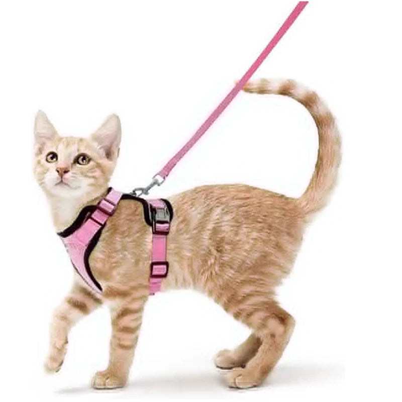Adjustable Anti-Escape Small Cat Belt Kitten Harness Light Breathable Soft Pet Vest Wiring Harness Traction Belt Kitten Walking