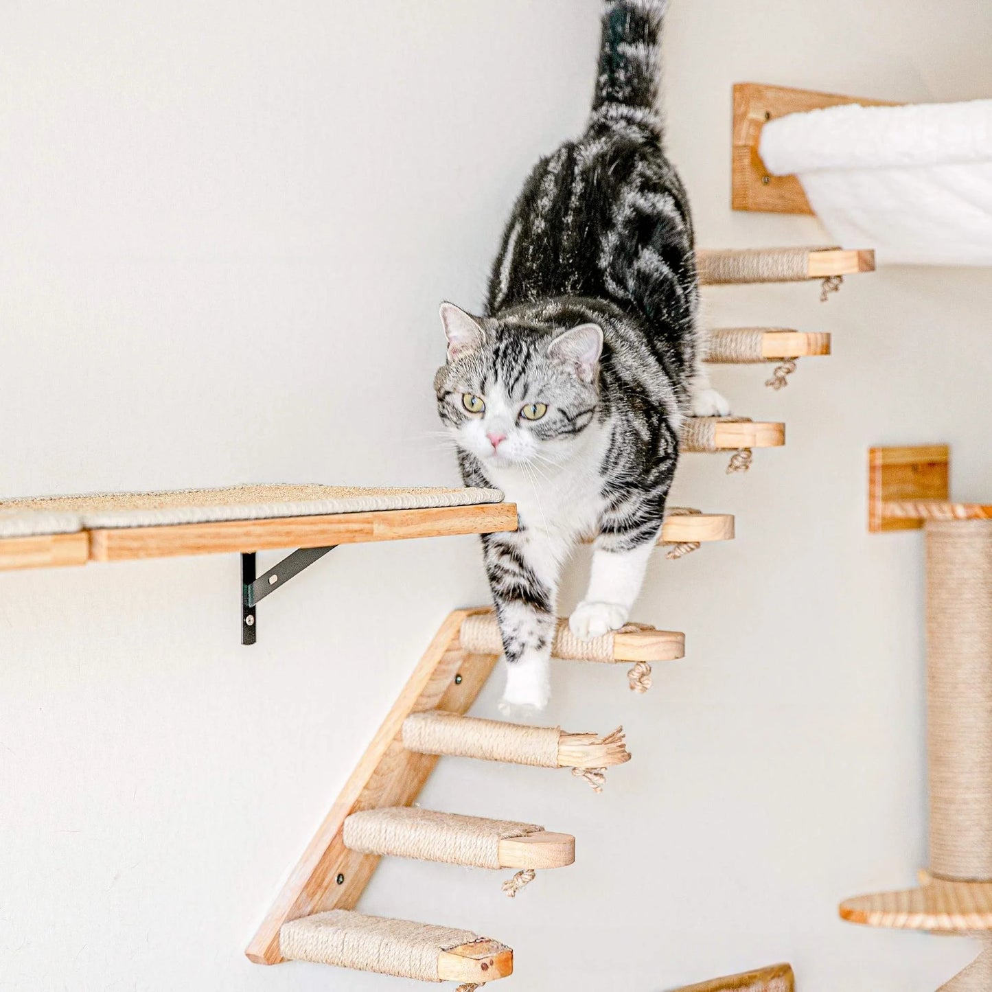 Large Cat Climbing Stairs, Solid Wood Ledge Cat Climbing Frame, Wall-Mounted Segmented Cat Stairs, Wooden Cat Climbing Ladder