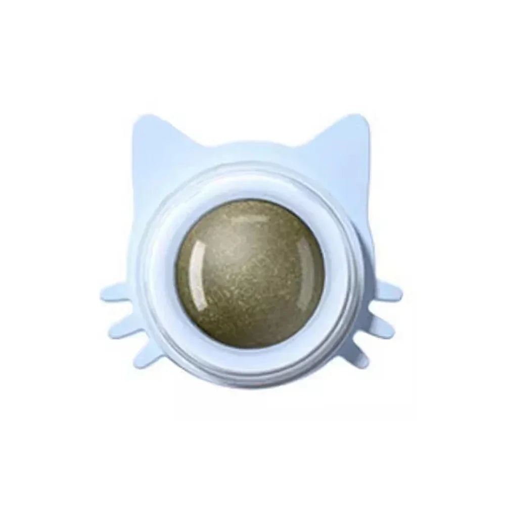 DIAMRI Catnip Lollipop Interactive Toy for Cats Dental Care Treat
