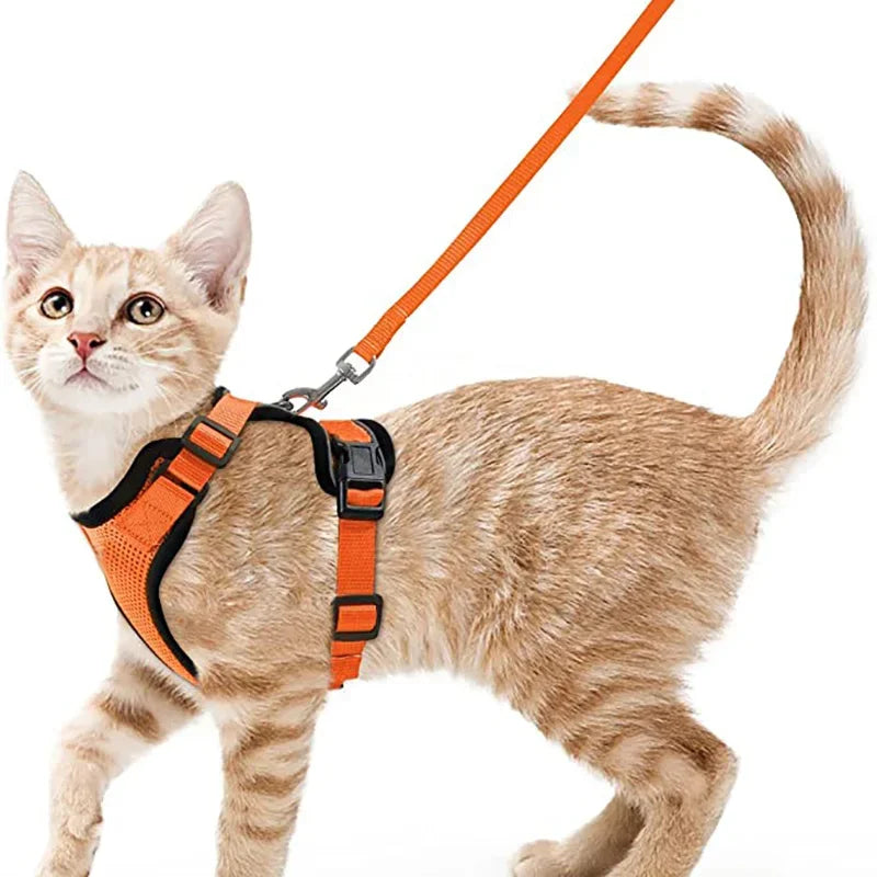 Adjustable Anti-Escape Small Cat Belt Kitten Harness Light Breathable Soft Pet Vest Wiring Harness Traction Belt Kitten Walking
