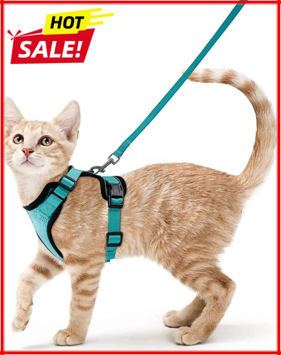 Adjustable Anti-Escape Small Cat Belt Kitten Harness Light Breathable Soft Pet Vest Wiring Harness Traction Belt Kitten Walking