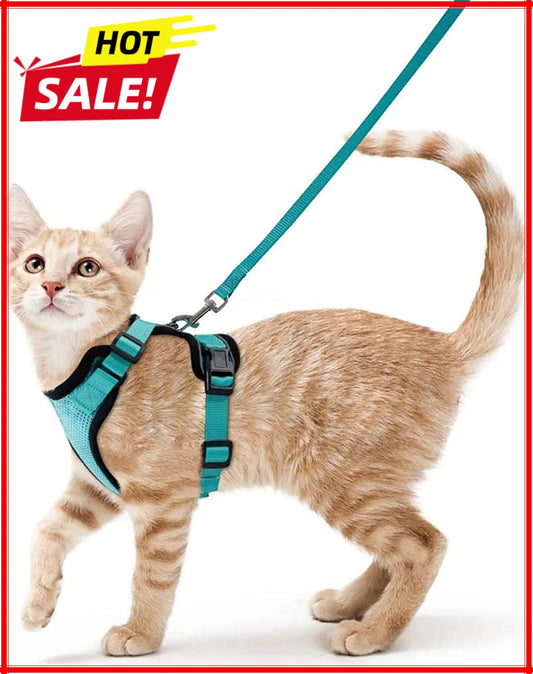 Adjustable Anti-Escape Small Cat Belt Kitten Harness Light Breathable Soft Pet Vest Wiring Harness Traction Belt Kitten Walking