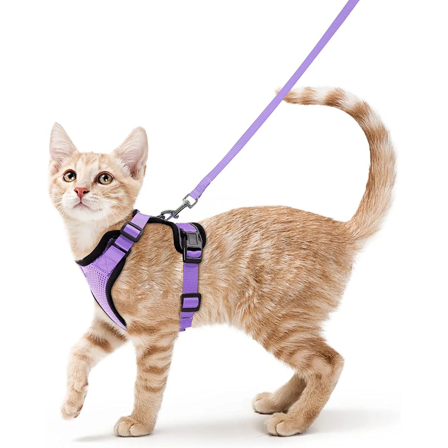 Adjustable Anti-Escape Small Cat Belt Kitten Harness Light Breathable Soft Pet Vest Wiring Harness Traction Belt Kitten Walking