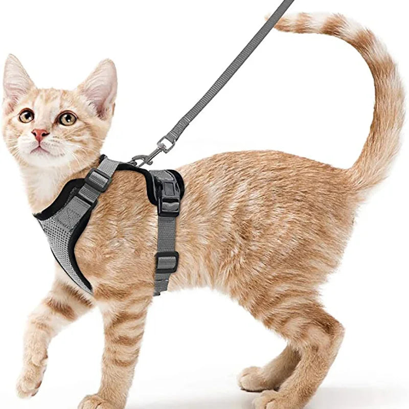 Adjustable Anti-Escape Small Cat Belt Kitten Harness Light Breathable Soft Pet Vest Wiring Harness Traction Belt Kitten Walking