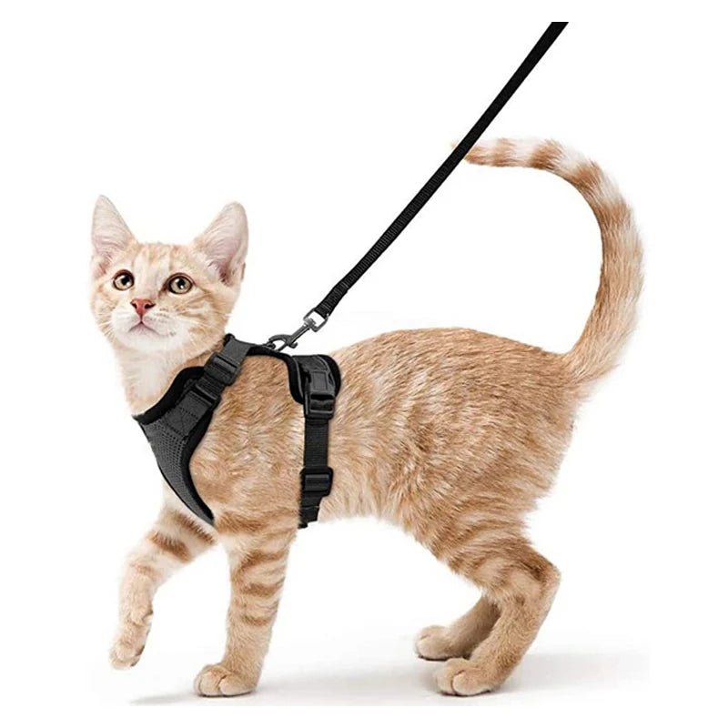 Adjustable Anti-Escape Small Cat Belt Kitten Harness Light Breathable Soft Pet Vest Wiring Harness Traction Belt Kitten Walking