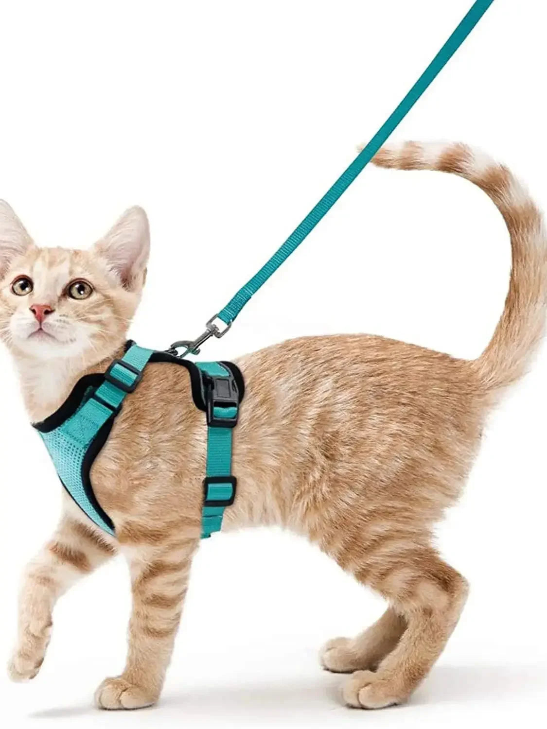 Adjustable Anti-Escape Small Cat Belt Kitten Harness Light Breathable Soft Pet Vest Wiring Harness Traction Belt Kitten Walking
