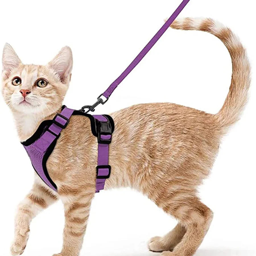 Adjustable Anti-Escape Small Cat Belt Kitten Harness Light Breathable Soft Pet Vest Wiring Harness Traction Belt Kitten Walking